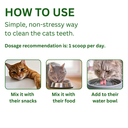 Glovoro Cat Dental Powder
