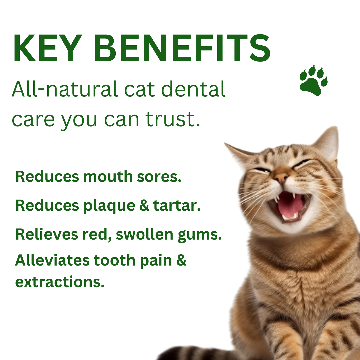 Glovoro Cat Dental Powder